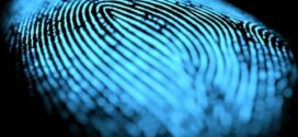 Will Fingerprint Work After Death?