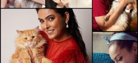 *Bollywood Actresses Who Are Proud Cat Parents*
