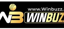 Discover Winbuzz.in: Your Gateway to Exciting Online Betting